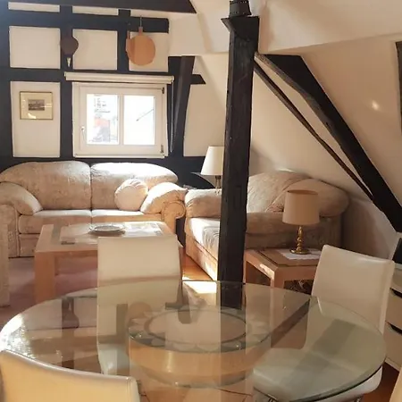 Apartment Penthouse Im Historischen Fachwerkhaus Mit Grosser Dachterrasse An Zentralster Lage